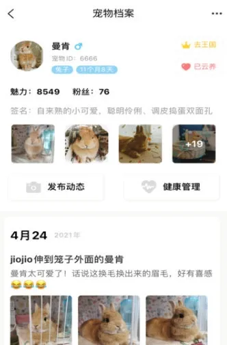 宠物王国(宠物养成游戏) 宠物王国(宠物养成游戏)